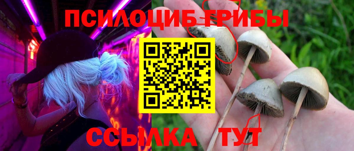 Галлюциногенные грибы ЛСД Коломна