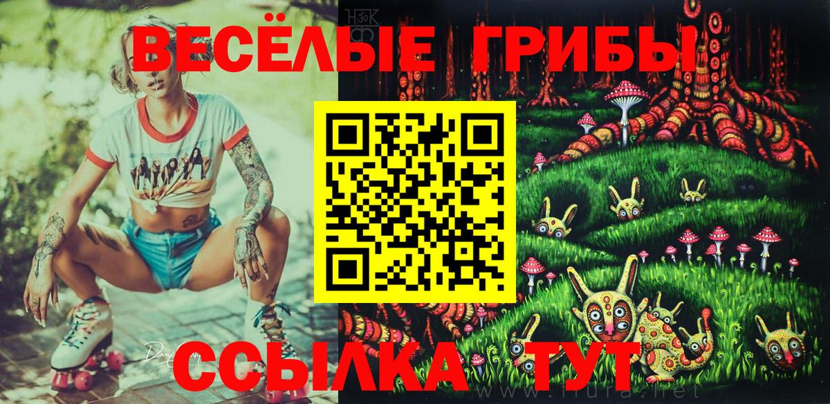 Псилоцибиновые грибы Psilocybe  Вход с VPN  Псилоцибиновые грибы Psilocybine cubensis  Коломна 